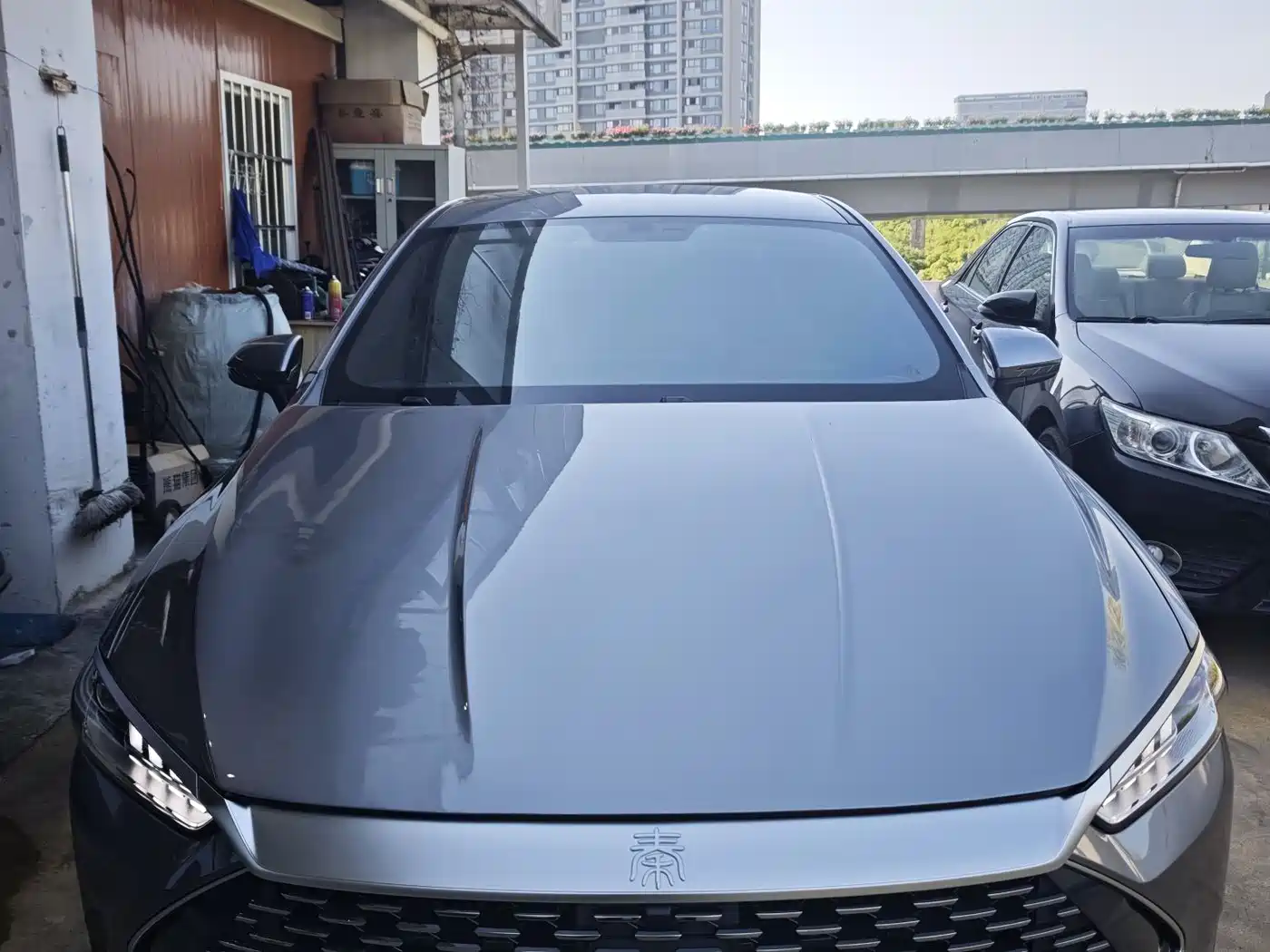 BYD Qin PLUS 2023 Champion Edition DM-i 55KM Leading фото 2