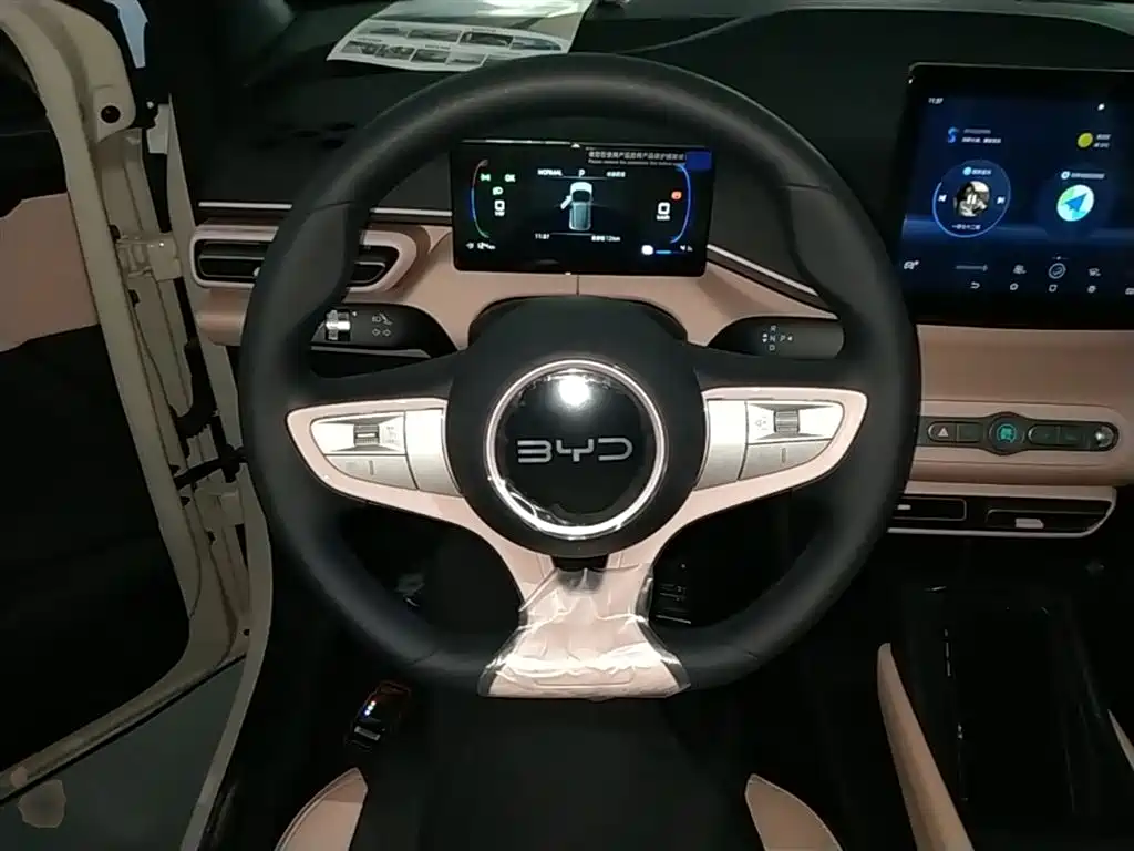 BYD Seagull 2026 2025 Smart Drive Edition 305km Vitality Version