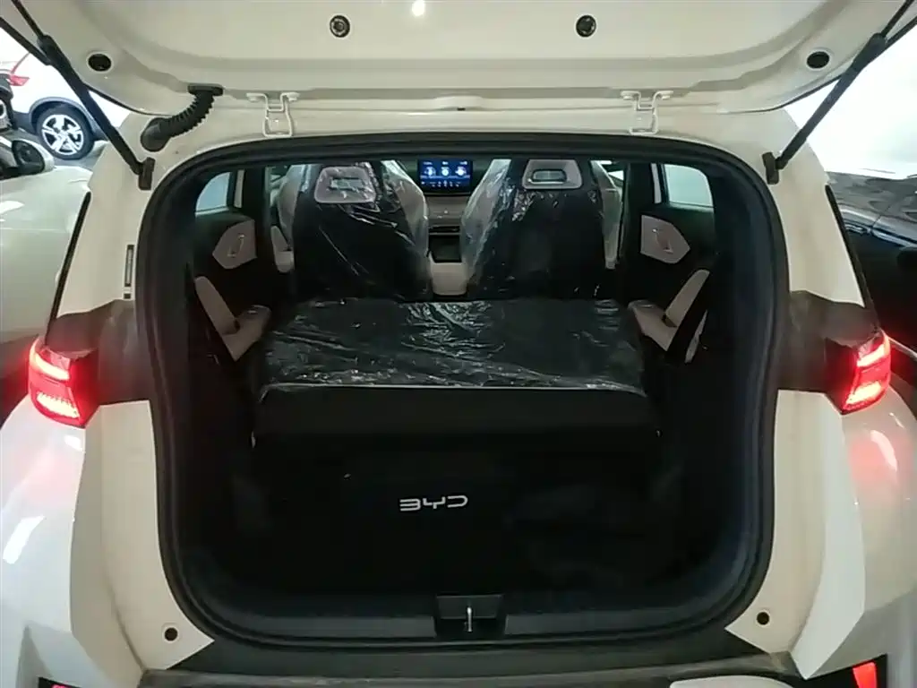 BYD Seagull 2026 2025 Smart Drive Edition 305km Vitality Version