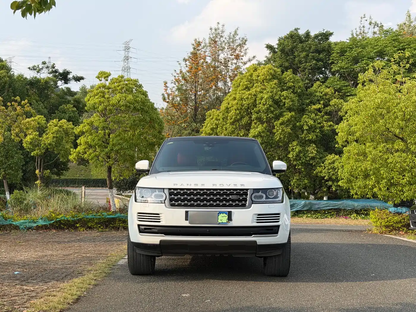 Land Rover Range Rover 2015 3.0 TDV6 Vogue фото 2