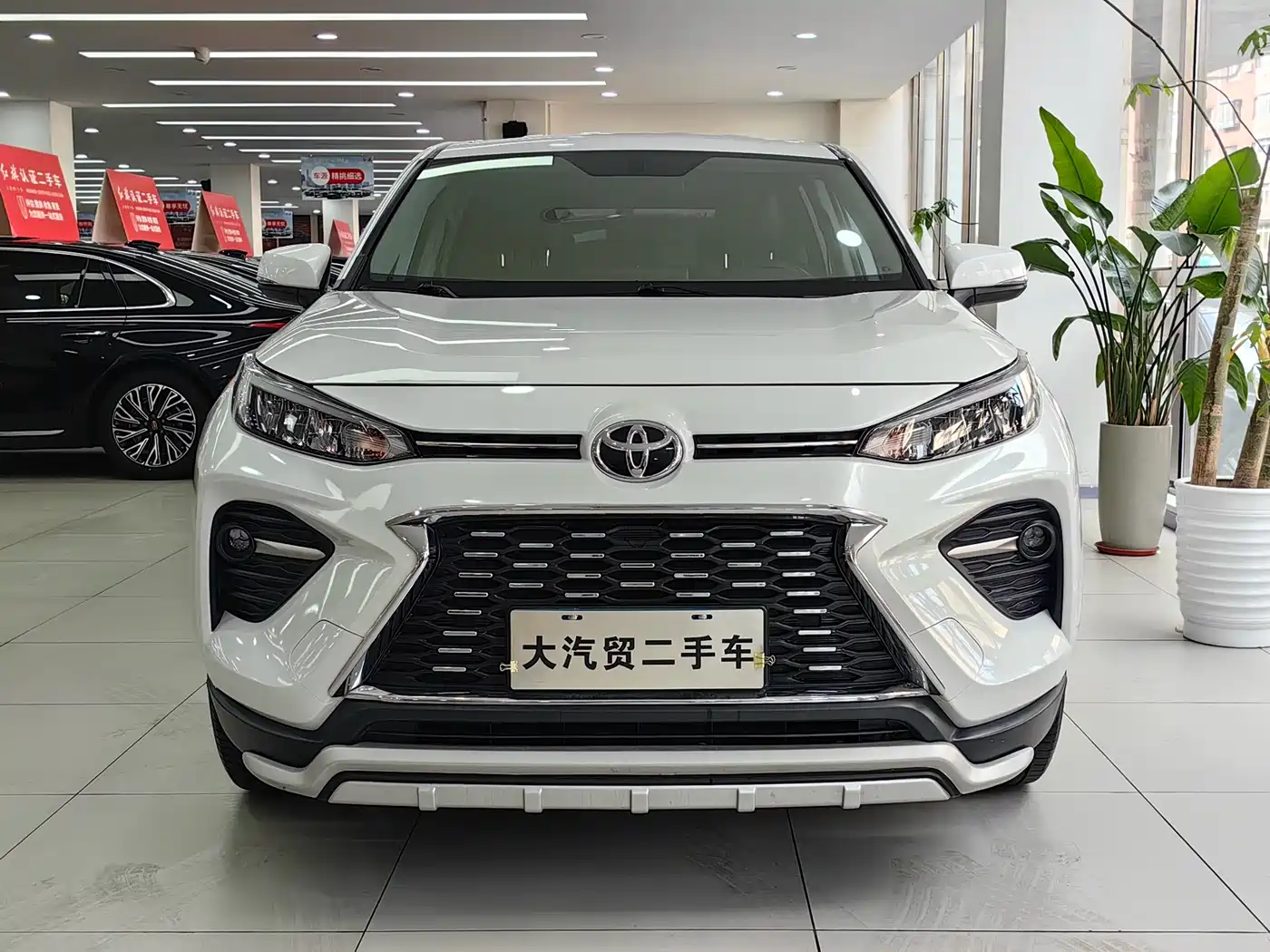 TOYOTA WILANDA