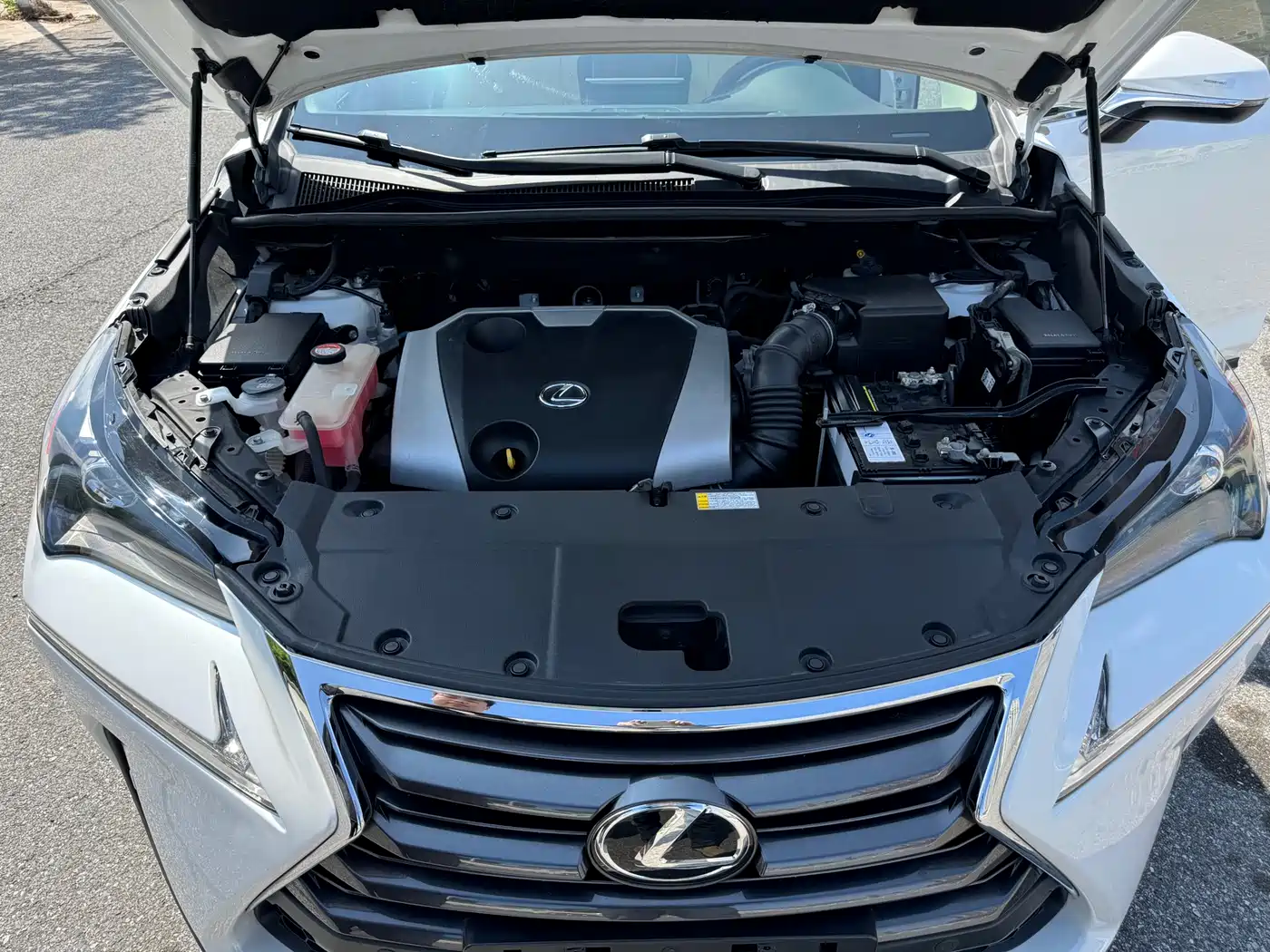 Lexus NX 2016 200 AWD F Sport фото 13