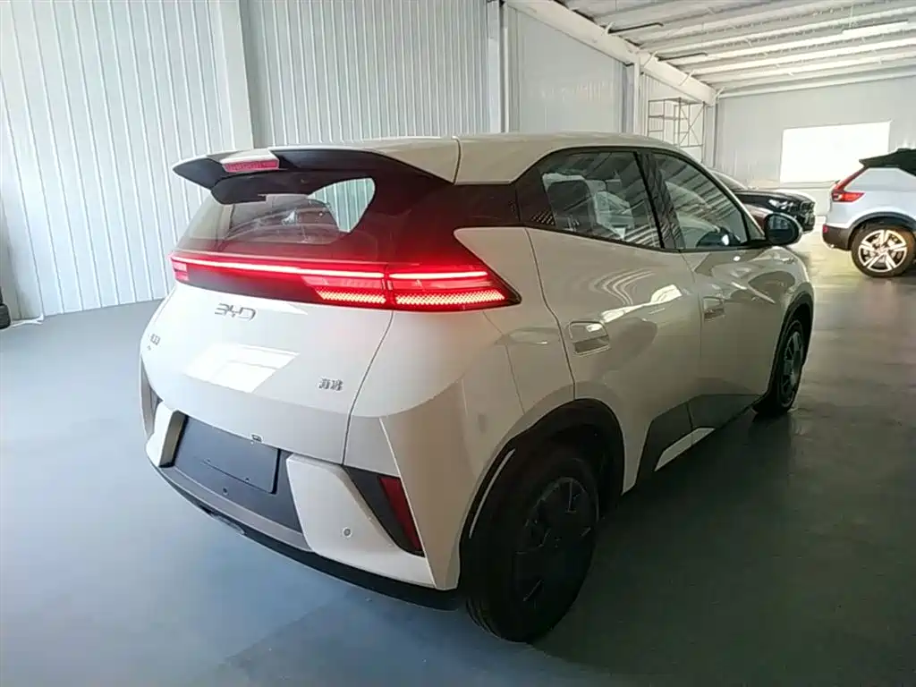 BYD Seagull 2026 2025 Smart Drive Edition 305km Vitality Version