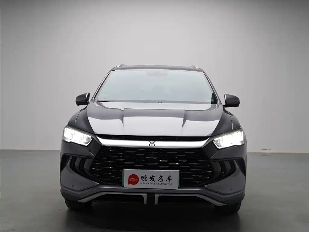 BYD Song Pro New Energy 2024 Glory Edition DM-i 71KM Leading фото 2