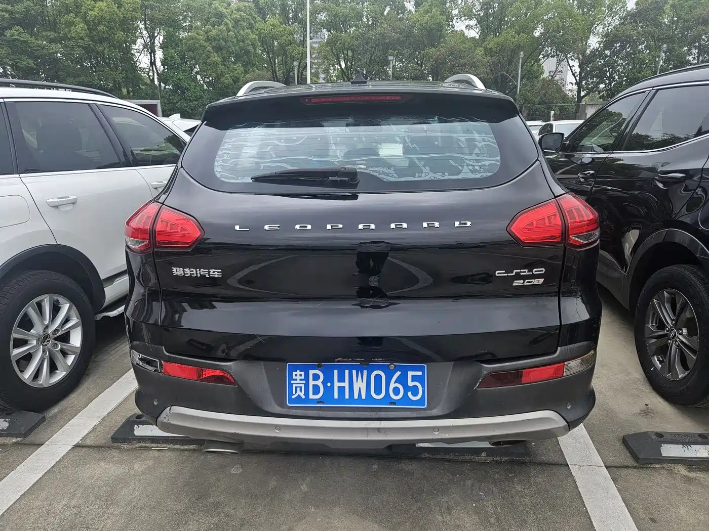 CHEETAH CARS CHEETAH CS10