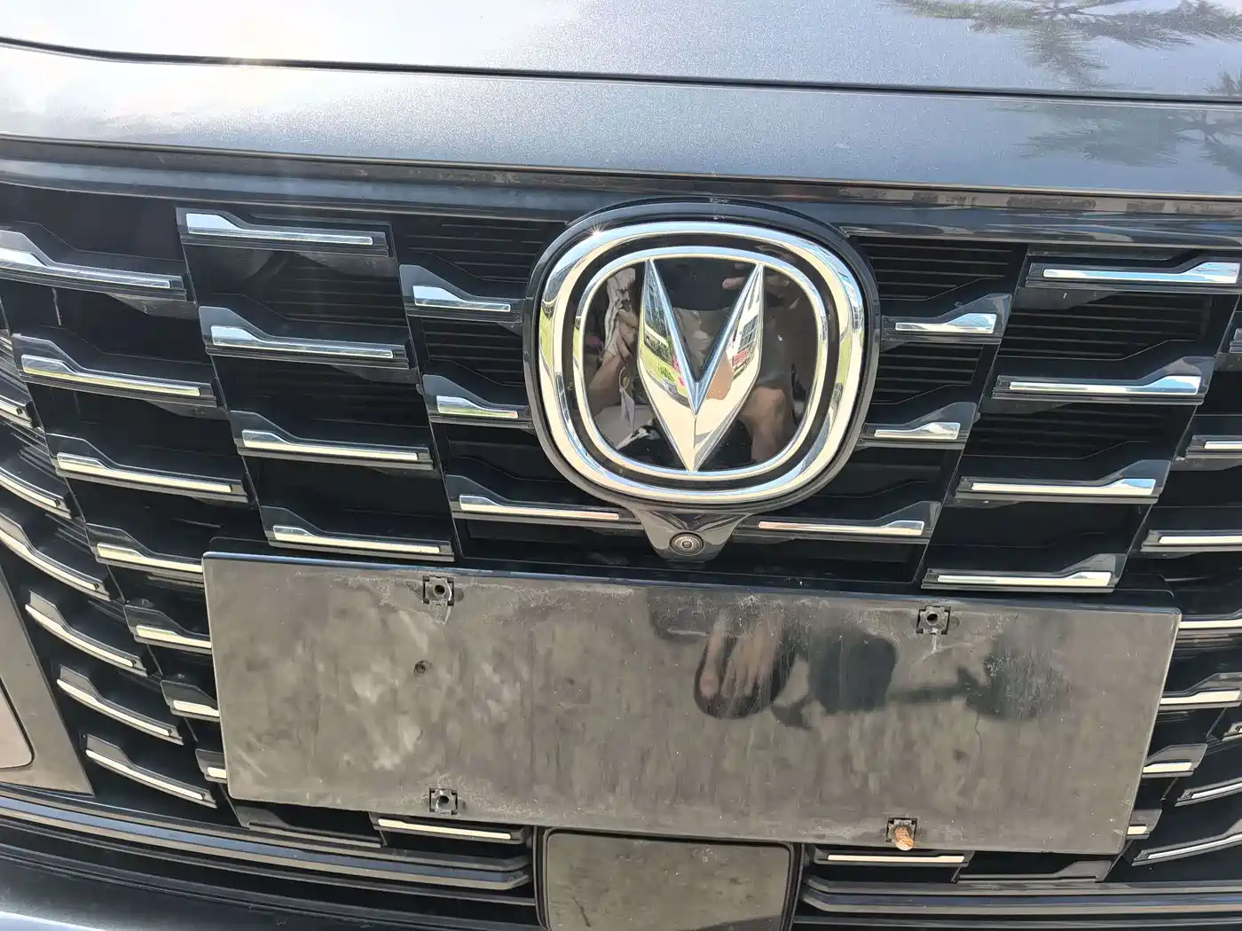 Changan Ruicheng CC 2022 2022 Blue Whale Edition 1.5T DCT Elite