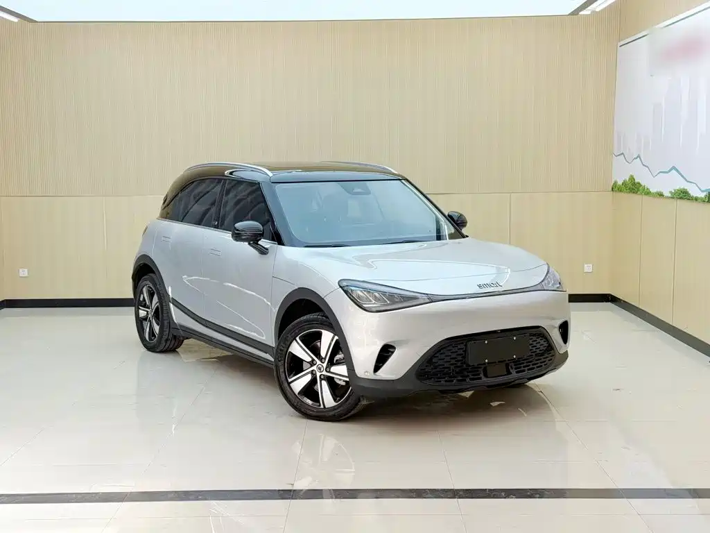 smart Elf #1 2024 2024 Agile Standard Edition