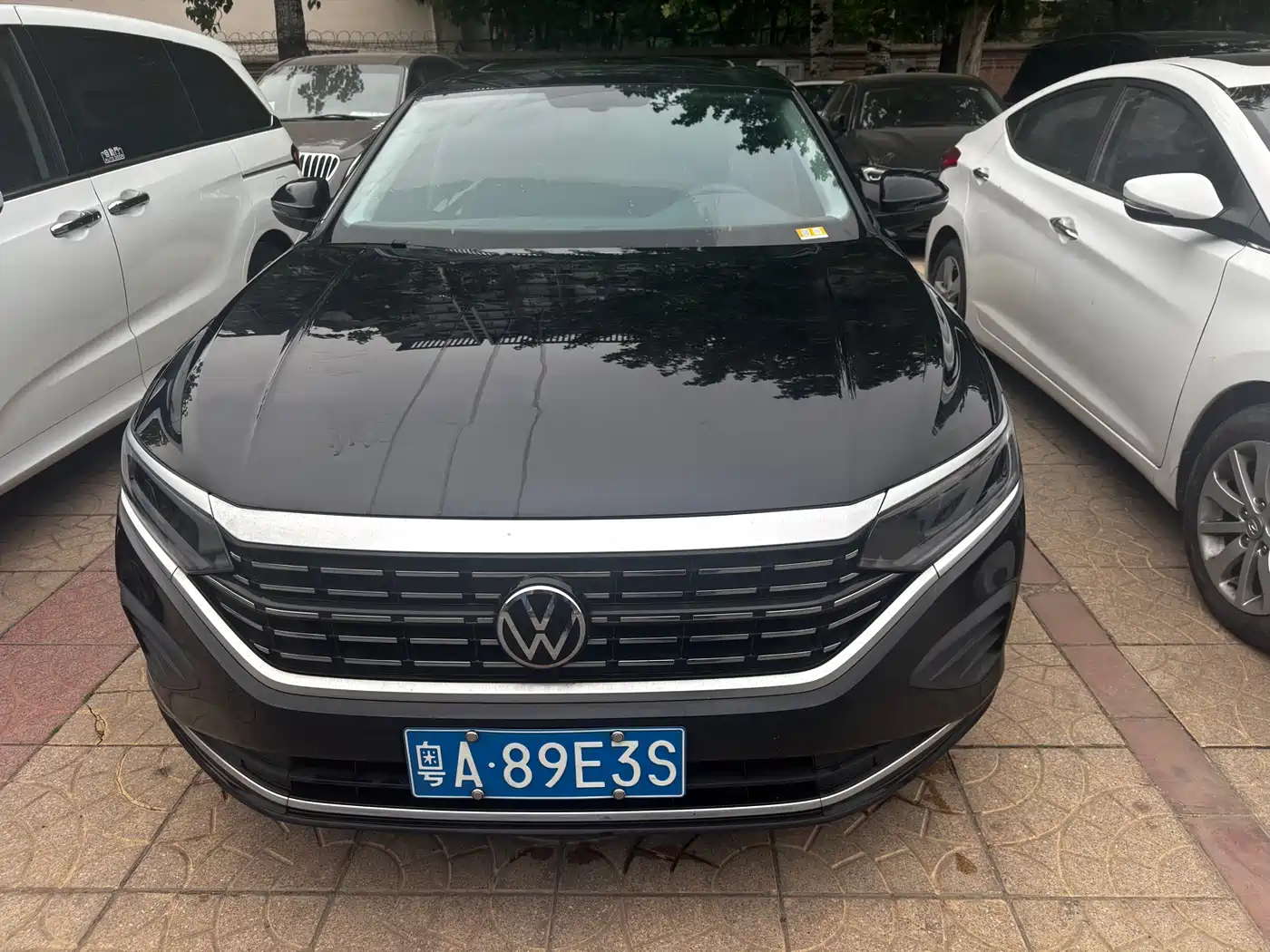 Volkswagen Passat 2024 280TSI Elite Edition фото 2