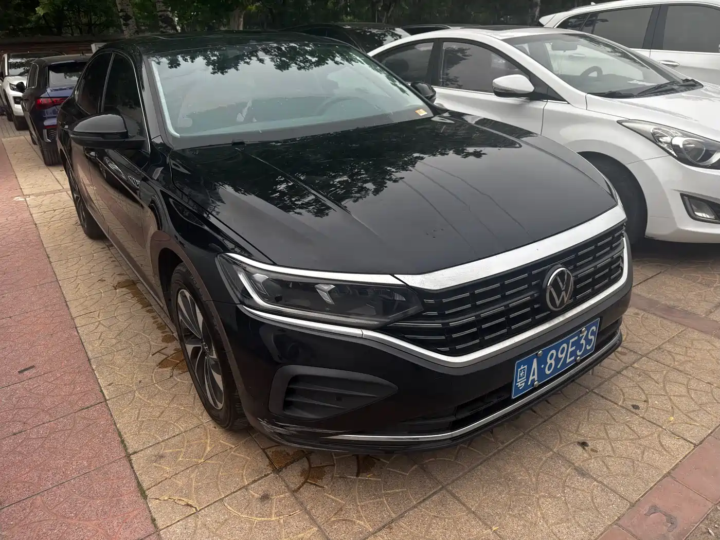 Volkswagen Passat 2024 280TSI Elite Edition фото 3