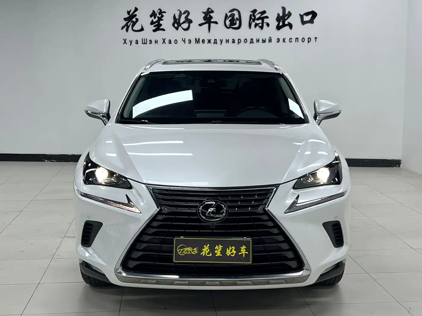 LEXUS NX