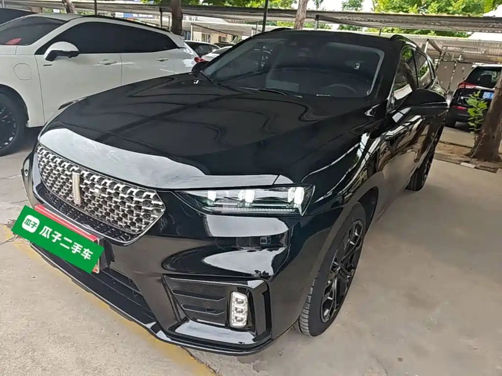 2021 WEY VV7