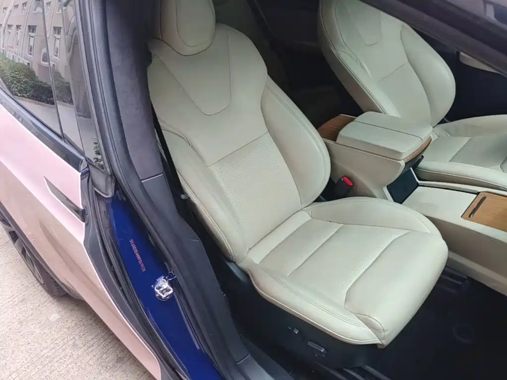 Фото 25 - Tesla Model X