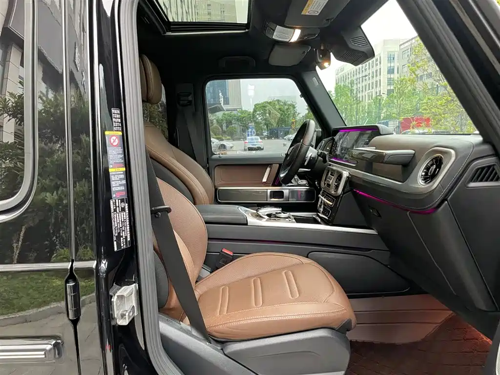 Mercedes-Benz G-Class 2020 G 500 фото 22