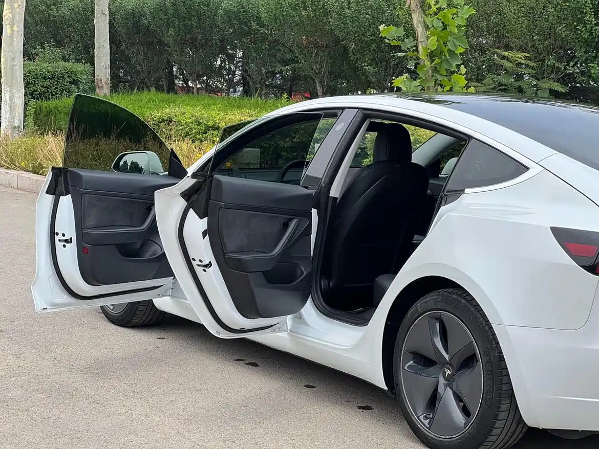 Tesla Model 3 2020 2020 Standard Range Rear-Wheel Drive Upgrade