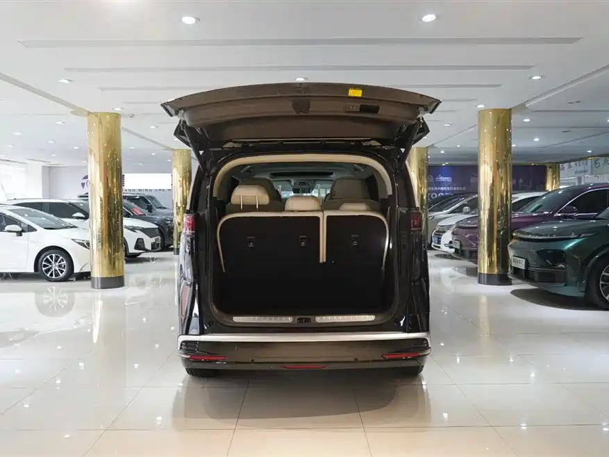 Denza D9 2025 Model DM-i Smart Drive Edition 1020 AWD Flagship фото 6