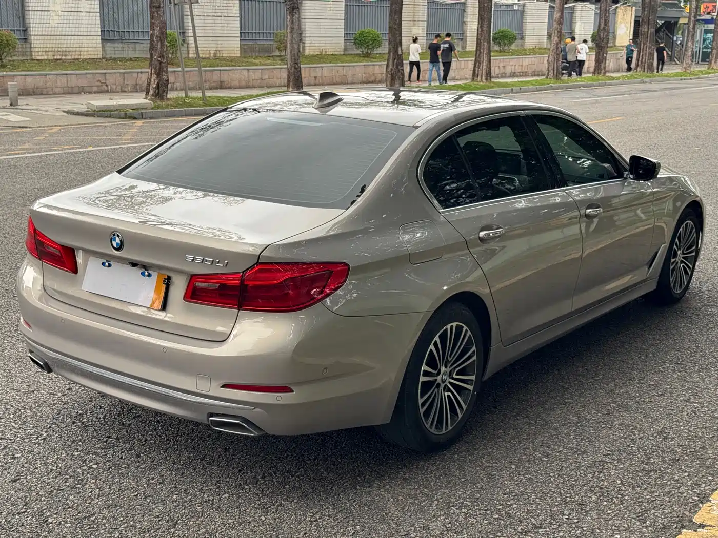 BMW 5 Series 2018 530Li Exclusive Luxury Package фото 8