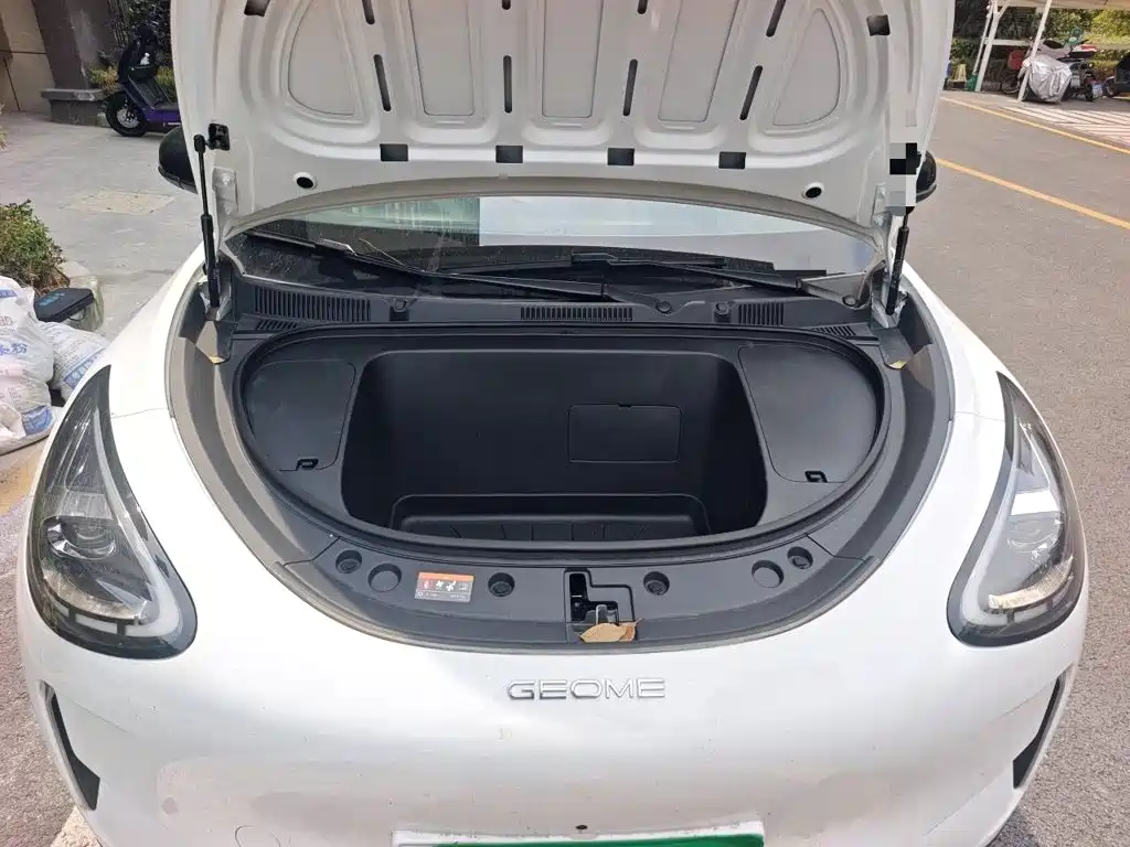 Geely Galaxy Starry Wish 2026 2026 Model 310km Dream Edition