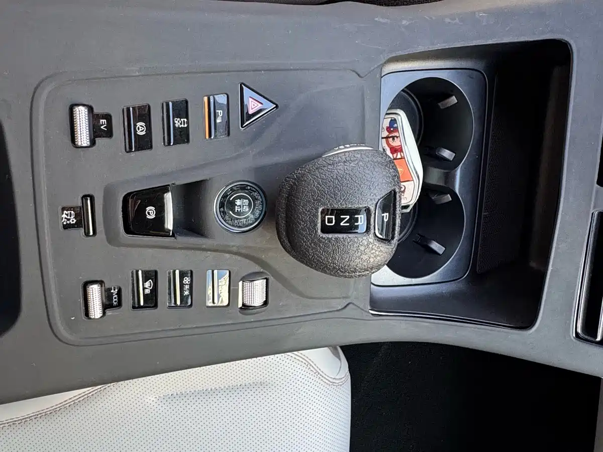 BYD Qin PLUS 2024 Glory Edition DM-i 55KM Leading фото 10