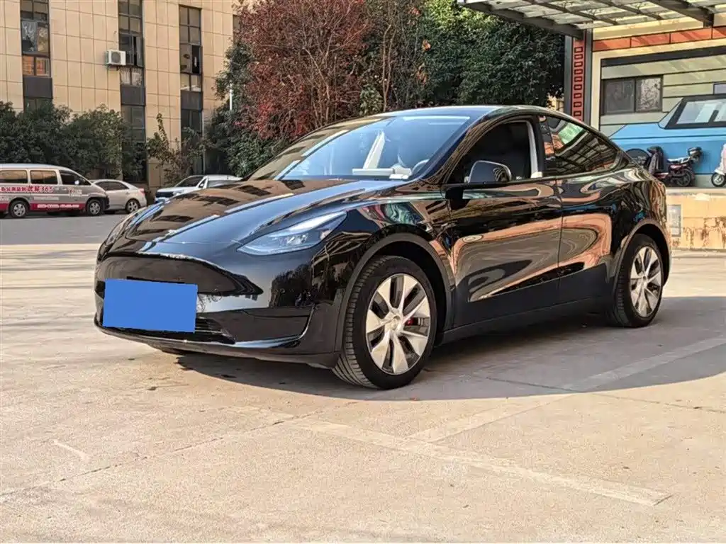 Tesla Model Y 2022 Rear-Wheel Drive Version