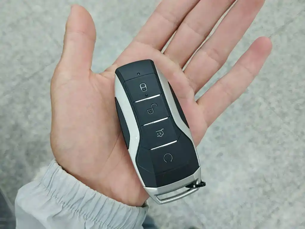 Denza X 2021 2020 Model PHEV Flagship Edition