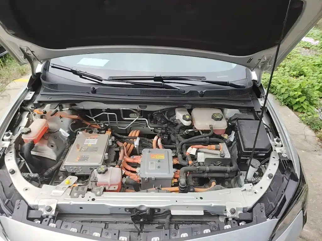 Buick Velite 6 2024 2024 450km Premium PLUS