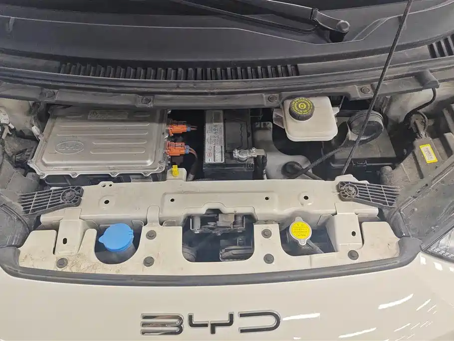 BYD Seagull 2023 Vitality Edition фото 10