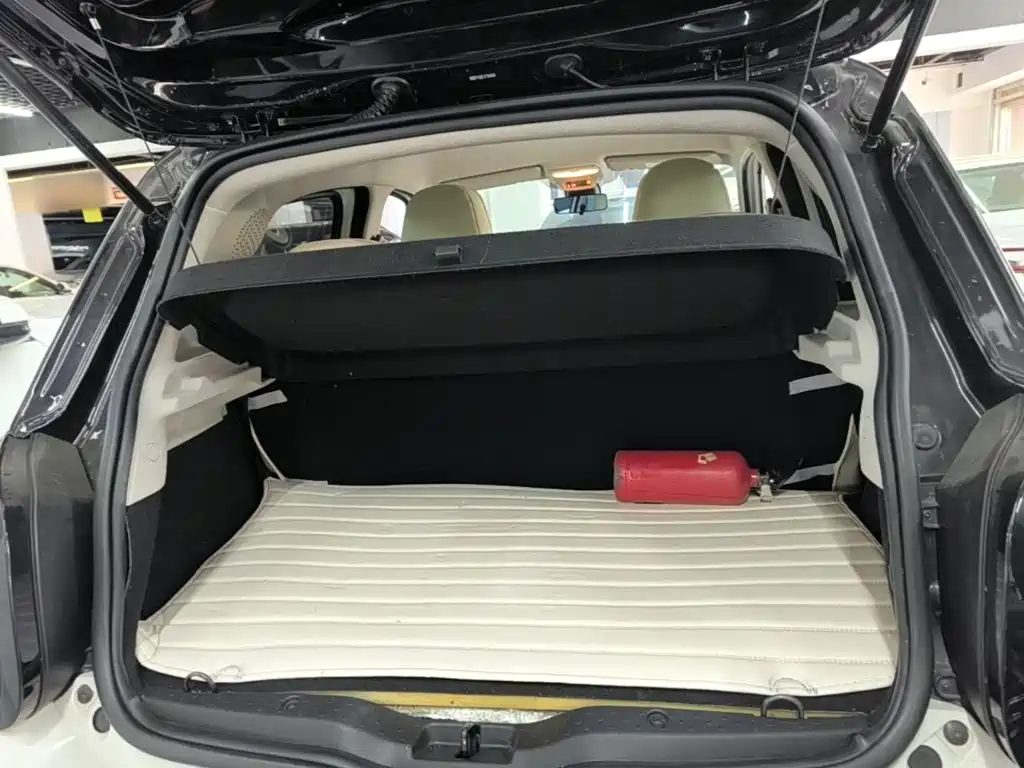 smart forfour 2019 2018 1.0L 52kW Agile Edition