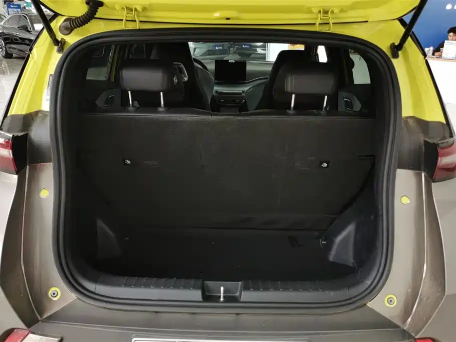BYD Seagull 2023 Freedom Edition фото 4