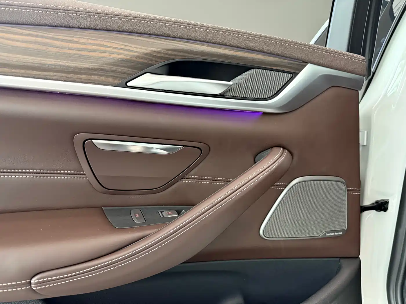 BMW 5 Series 2020 530Li Premium Luxury Package фото 14