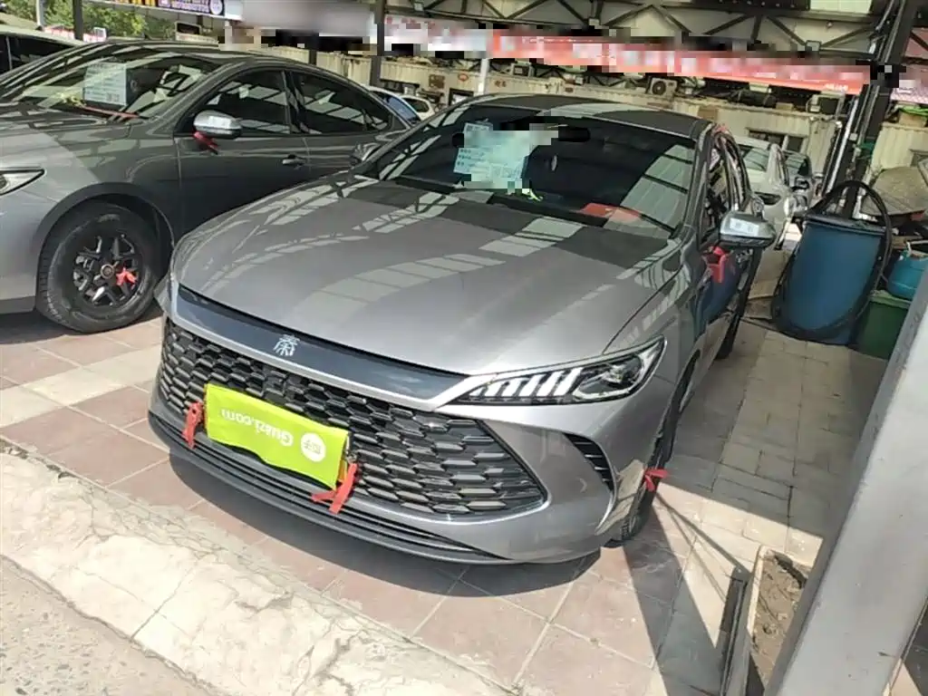 BYD Qin PLUS 2025 DM-i Smart Drive 55KM Leader