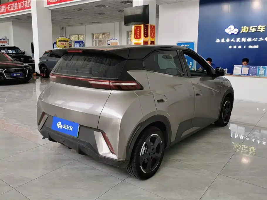 BYD Seagull 2023 Freedom Edition фото 3