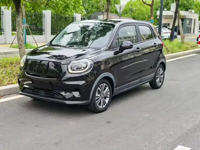 Leapmotor Leapmotor T03 2021 400 Luxury Edition