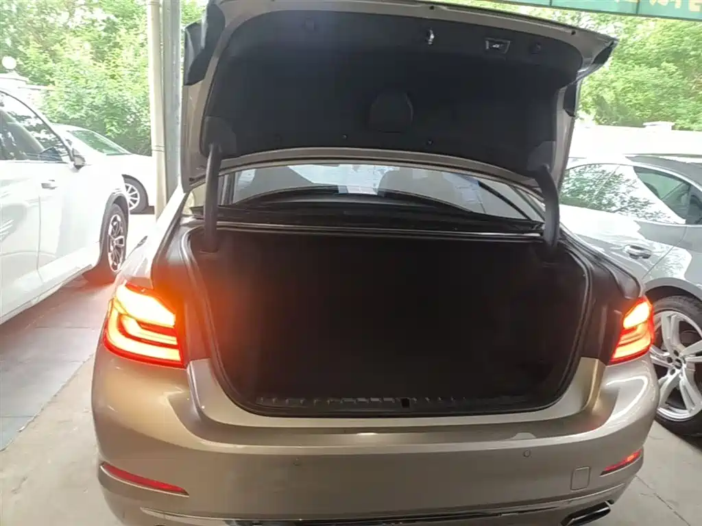 BMW 5 Series 2020 525Li Luxury Package фото 19