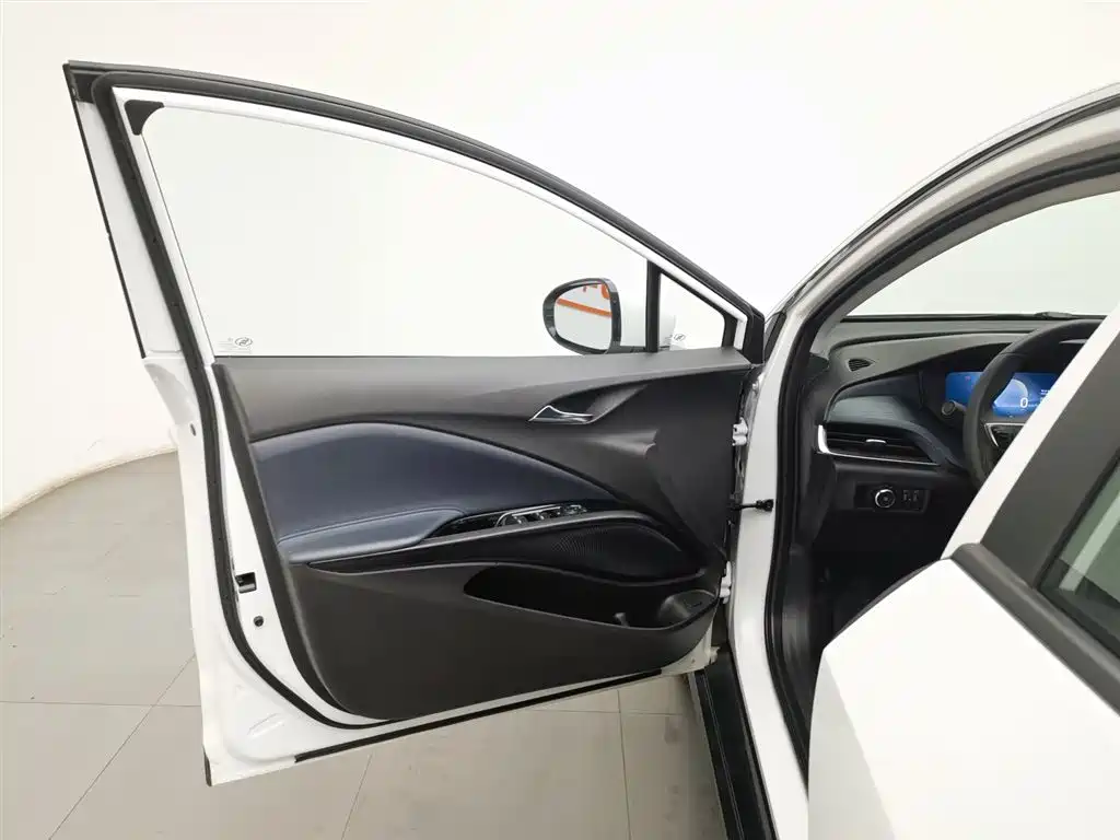 BUICK SLIGHTLY BLUE 6