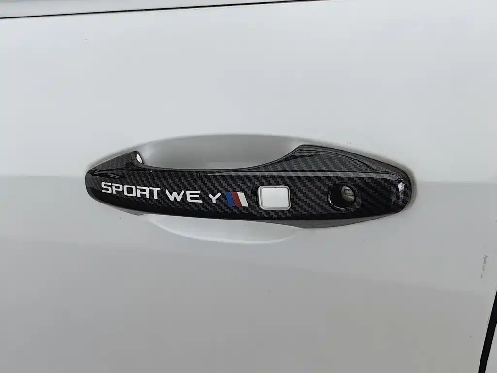WEY VV5 2020 2020 1.5T 2WD Smart Pioneer