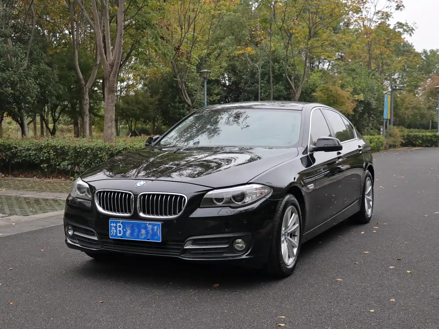 BMW 5 Series 2014 520Li Elegance фото 22