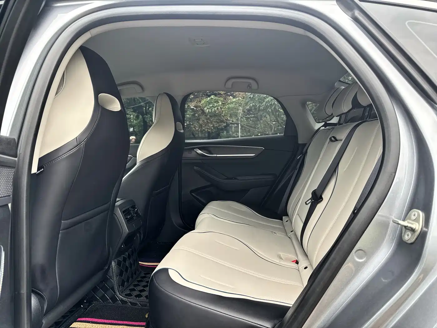 BYD Destroyer 05 2023 Champion Edition DM-i 120KM Premium фото 12