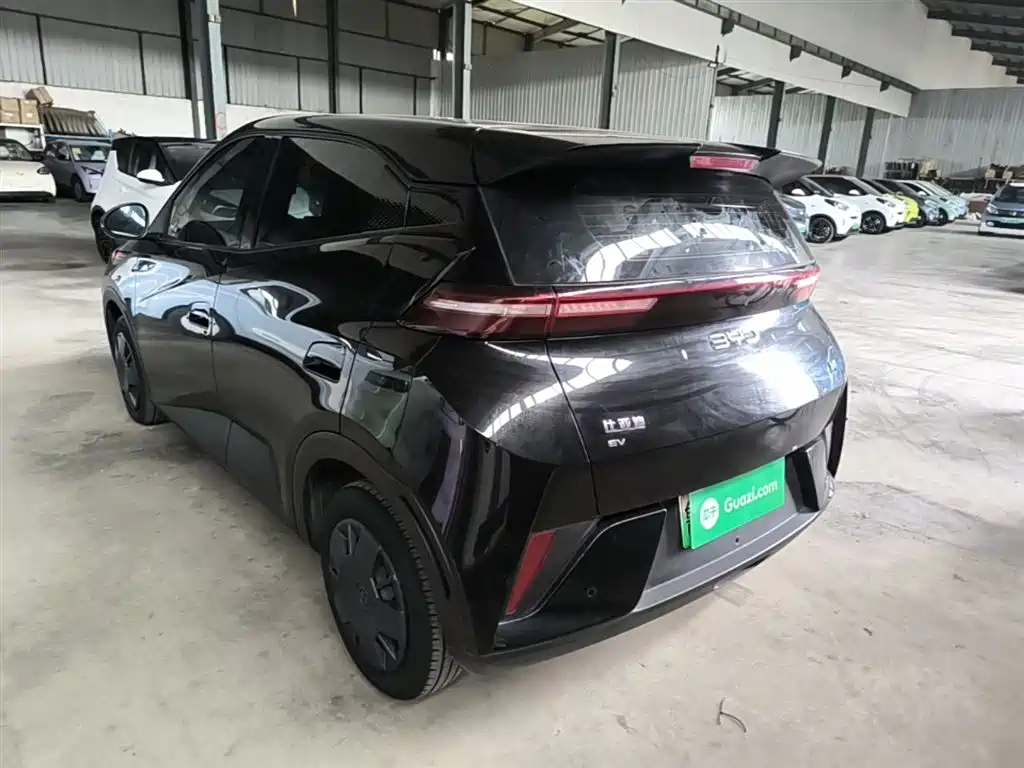 BYD Seagull 2025 Smart Drive Edition 305km Vitality Version фото 5