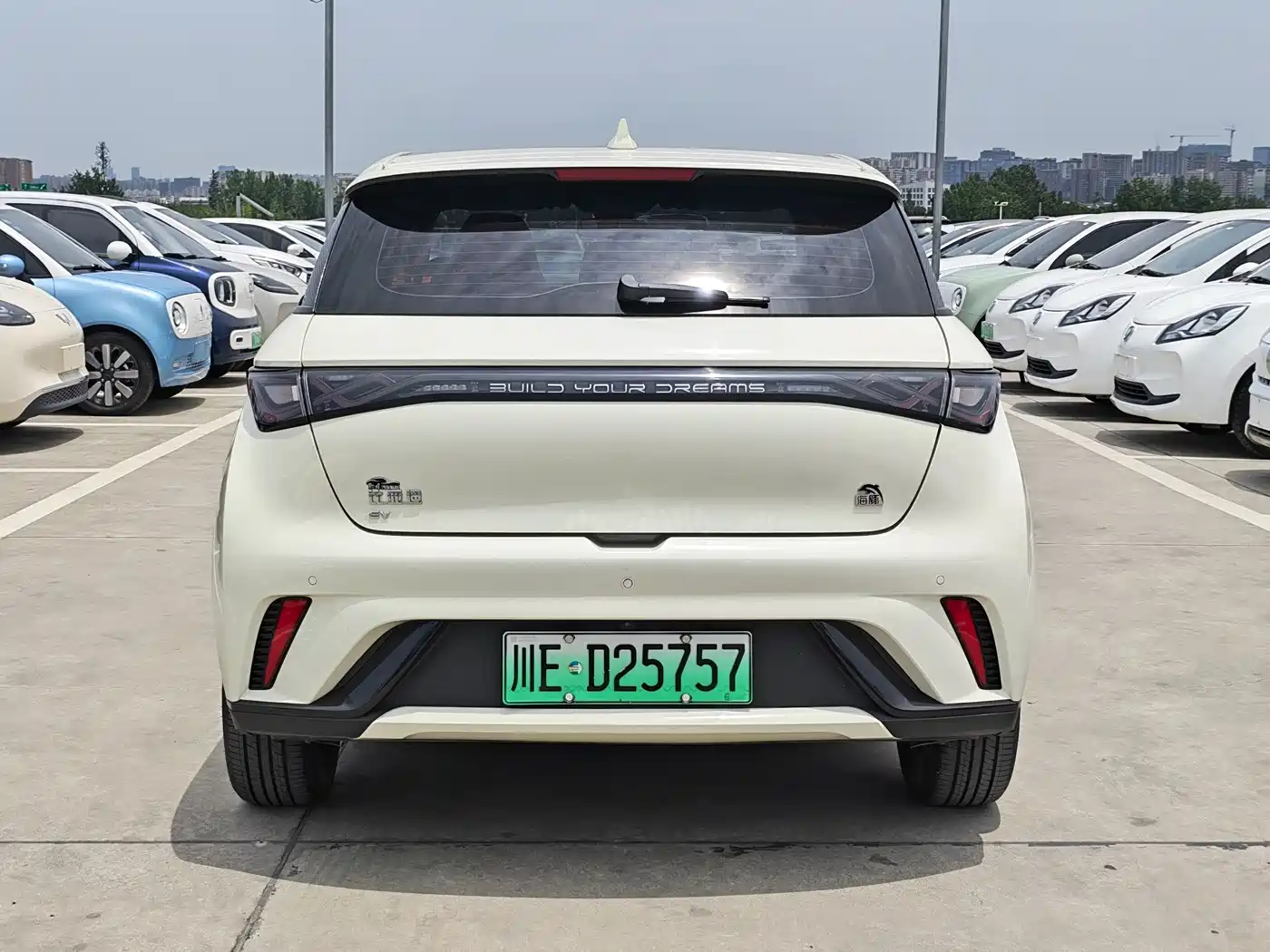 BYD Dolphin 2023 420km Fashion Edition фото 5