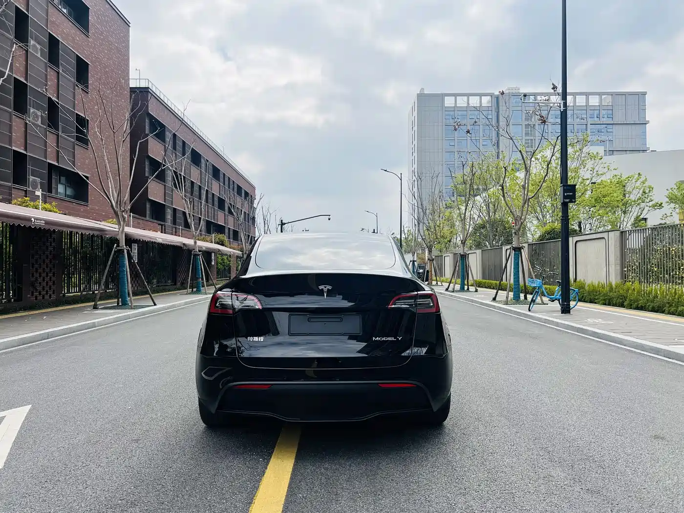 TESLA MODEL Y