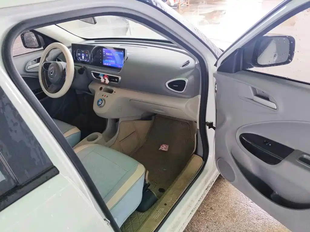 Ora White Cat 2021 2020 305km Luxury