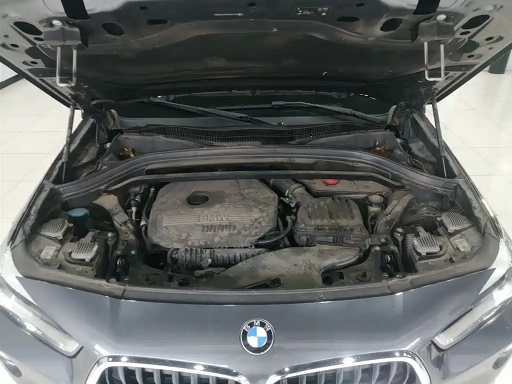 BMW X2 (Import) 2019 sDrive20i M Off-Road Package China VI фото 20
