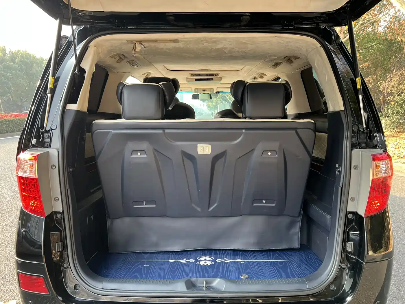 Toyota Alphard 2011 3.5L Luxury Edition фото 10