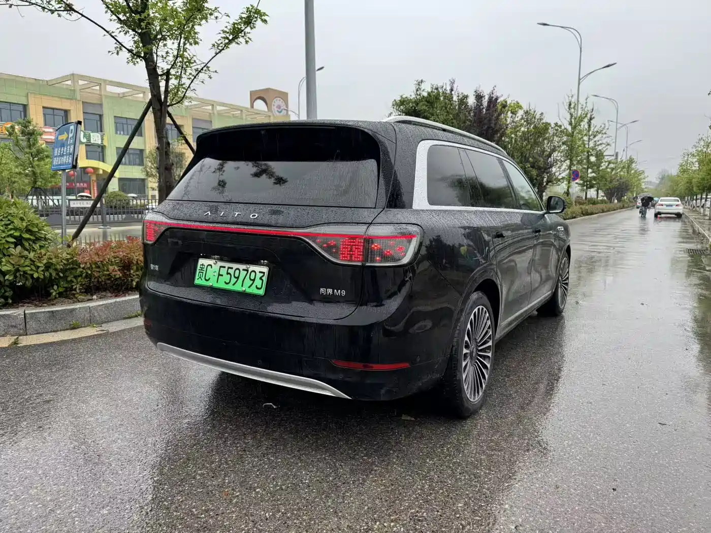 AITO Wenjie AITO M9 2024 Extended Range Ultra 42kWh 6-Seater фото 6