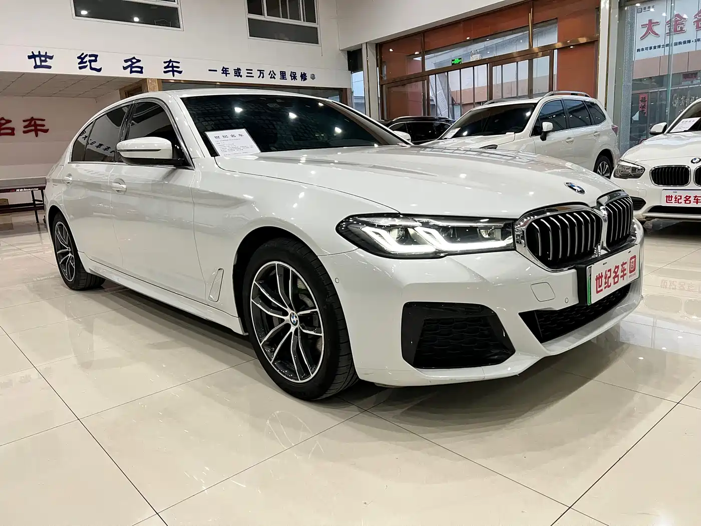 BMW 5 SERIES NEW ENERGY