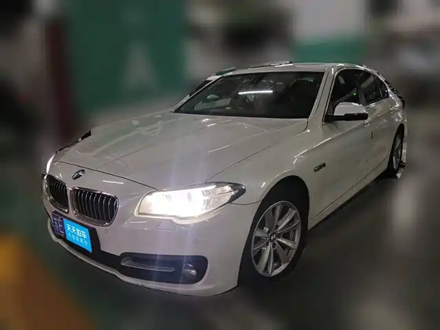 BMW 5 Series 2014 520Li Elegance — фото 1