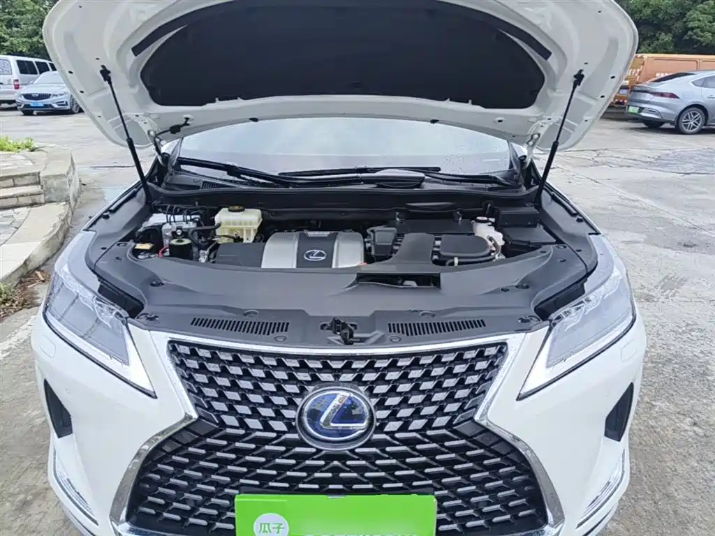 LEXUS RX