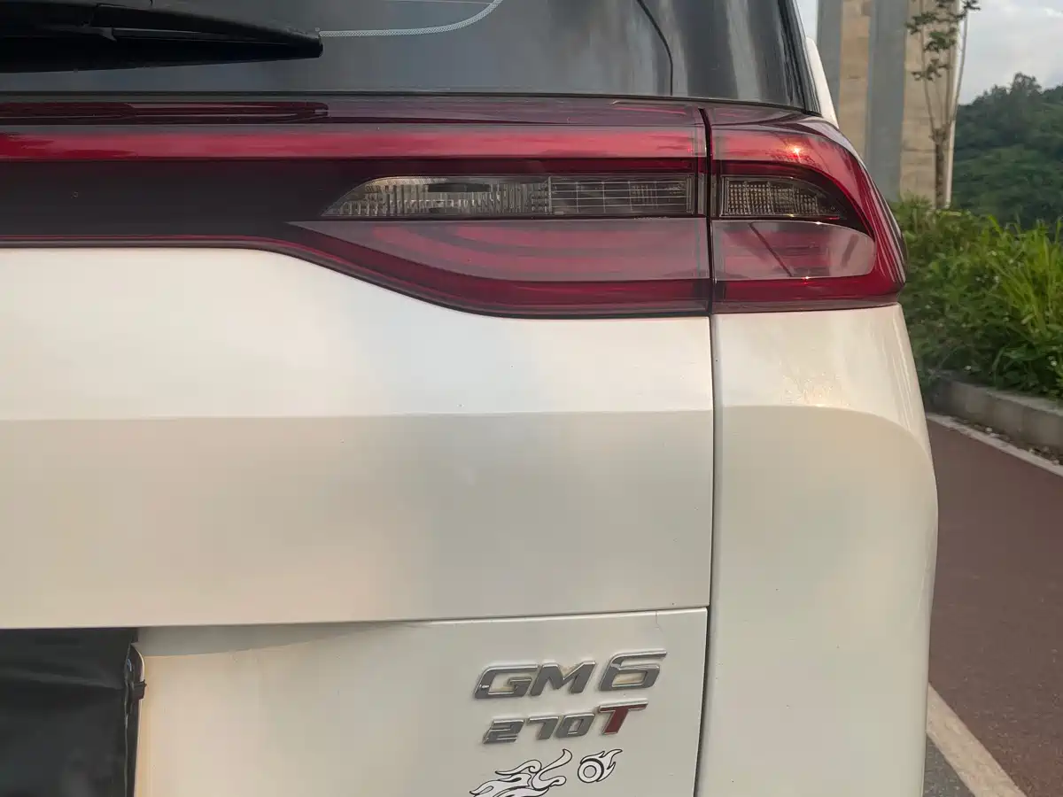 GAC Trumpchi Trumpchi M6 2019 270T DCT Luxury Edition (7-seater) (China VI) фото 19