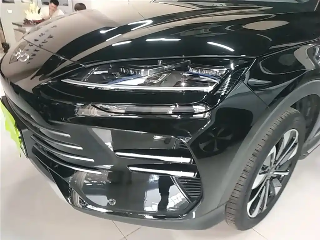 BYD Song PLUS PHEV 2025 DM-i 112KM Honor фото 24