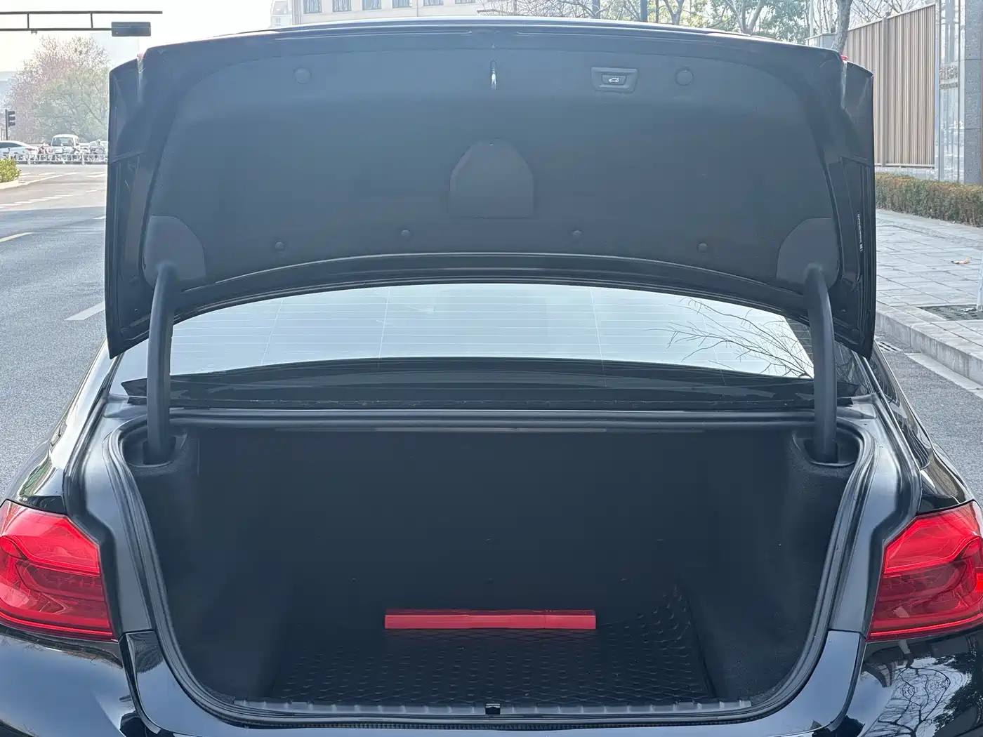 BMW 5 Series 2020 530Li Leading Luxury Package фото 29